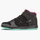 Rød  Nike Dunk SB High Premier Northern Lights 313171 063 Dame/Herre Sko