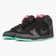 Rød  Nike Dunk SB High Premier Northern Lights 313171 063 Dame/Herre Sko