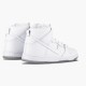 Ny  Nike Dunk SB High Hvit Ice 305050 113 Dame/Herre Sko