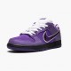 Ny  Nike SB Dunk Low Concepts Purple Lobster BV1310 555 Dame/Herre Sko