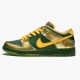 Het  Nike SB Dunk Low Doernbecher BV8740 377 Dame/Herre Sko