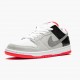 Blå  Nike SB Dunk Low Infrared Oransje Label CD2563 004 Dame/Herre Sneakers