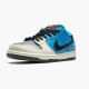 Kjøp  Nike SB Dunk Low Instant Skateboards CZ5128 400 Dame/Herre Sko