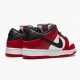 Billig  Nike SB Dunk Low J Pack Chicago BQ6817 600 Dame/Herre Sneakers