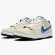 Hvit  Nike SB Dunk Low Truck It CT6688 200 Dame/Herre Sneakers