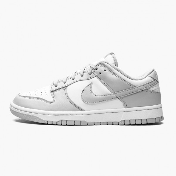 Nike Dunk Low "Grå Fog" DD1391 103 Herre