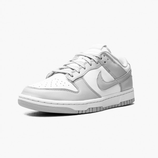 Brun  Nike Dunk Low Grå Fog DD1391 103 Herre Sneakers