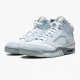 Hvit  Jordan 5 Retro Blåbird Dame/Herre With Sølv Hvit DD9336 400 Sneakers