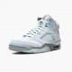 Hvit  Jordan 5 Retro Blåbird Dame/Herre With Sølv Hvit DD9336 400 Sneakers